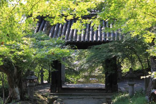 秋月城下町-7