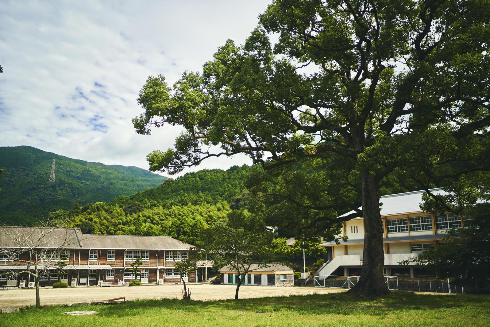 秋月城下町 | 観光スポット | 【公式】福岡県の観光/旅行情報サイト「クロスロードふくおか」