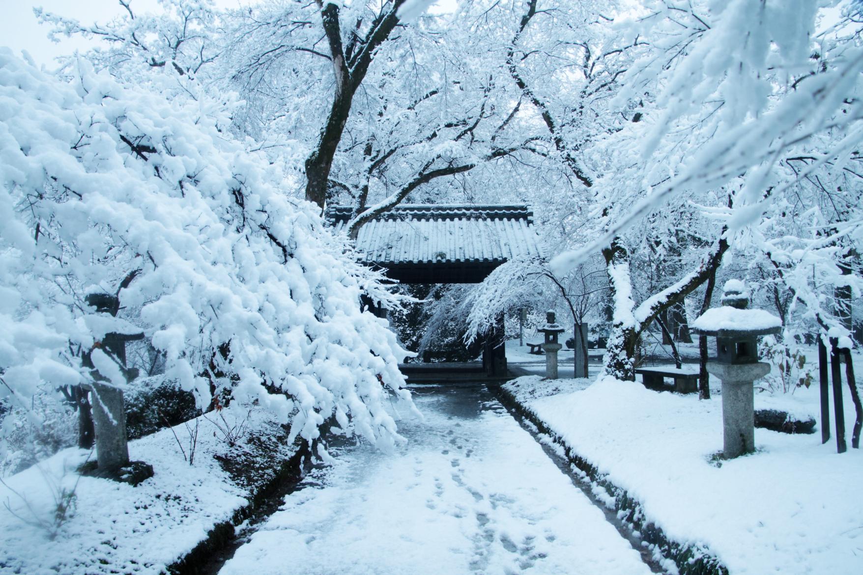 秋月城下町-9