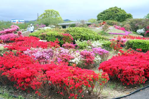 久留米百年公園-0