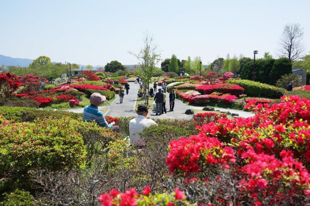 Kurume Centennial Park-8