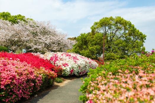 久留米百年公園-1