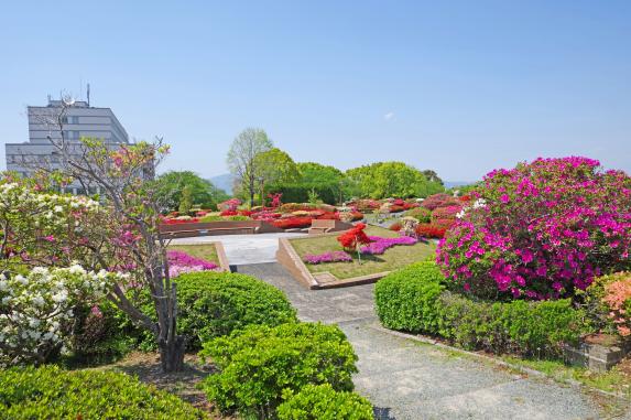 Kurume Centennial Park-7