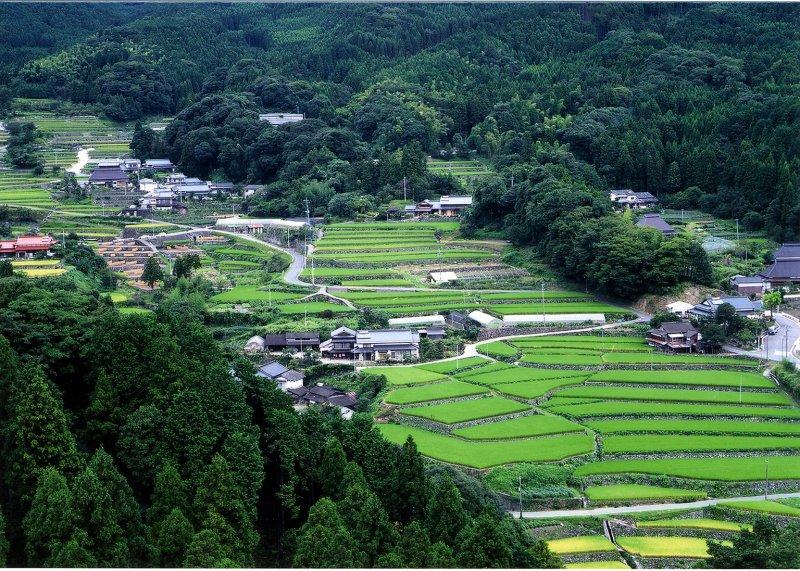 Terraced rice fileds in Take area 