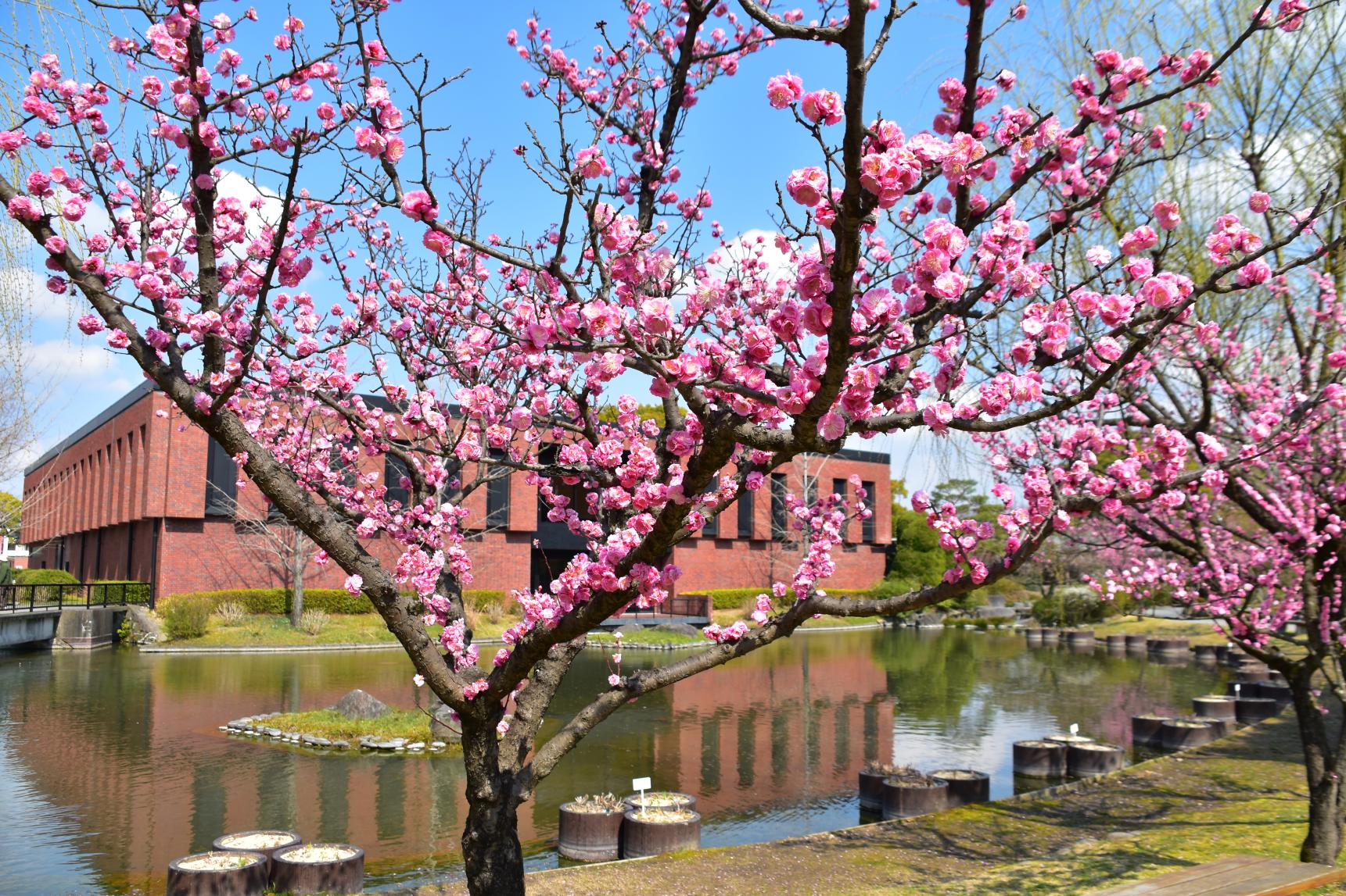 Ishibashi Cultural Center-2