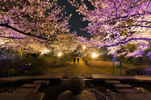 Ishibashi Cultural Center-1