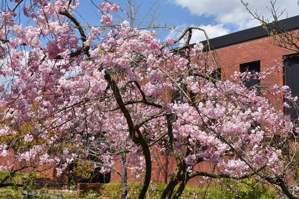 Ishibashi Cultural Center-8