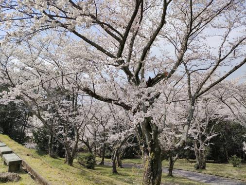 田主丸平原古墳公園-2