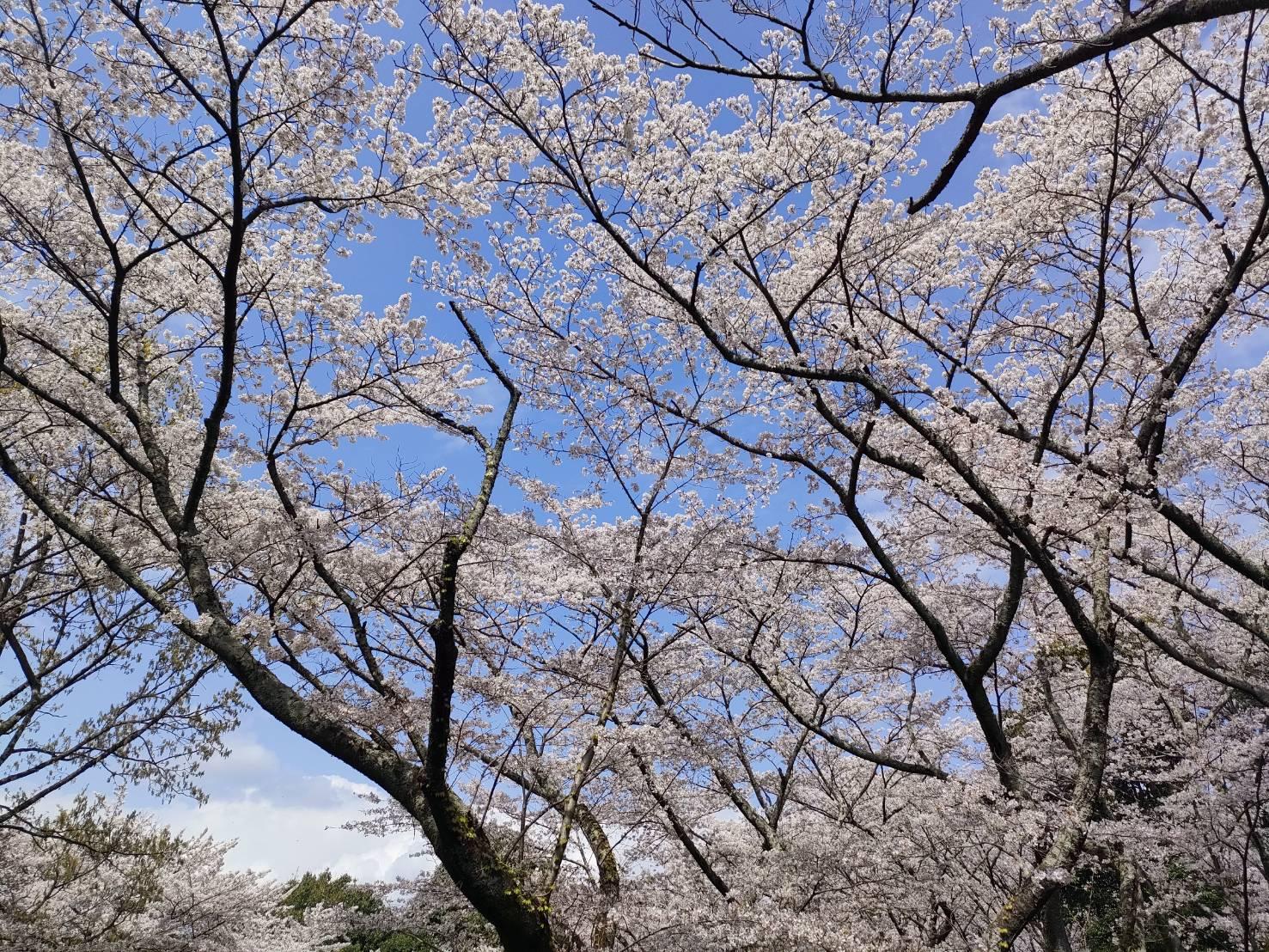 田主丸平原古墳公園