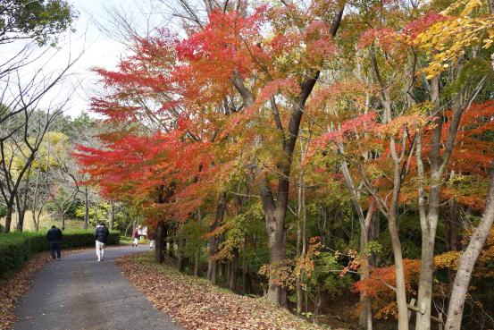 田主丸平原古墳公園-5