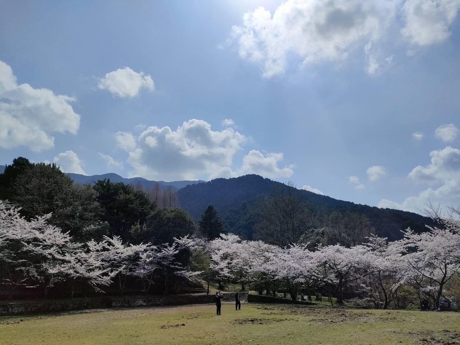 田主丸平原古墳公園-3