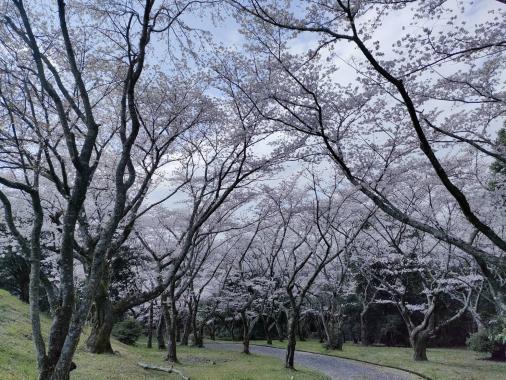 田主丸平原古墳公園-4