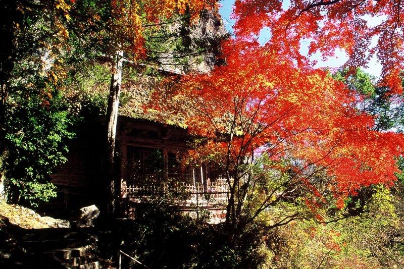 岩屋公園