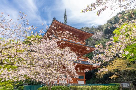 清水公園-0