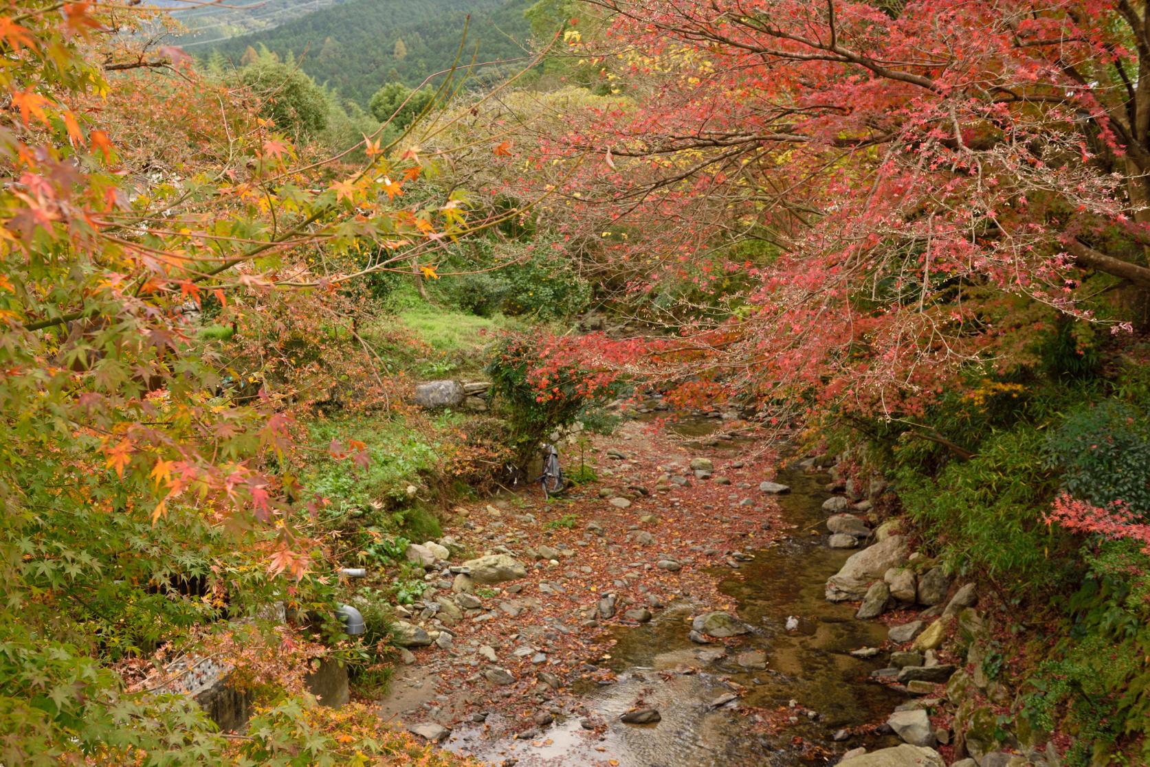 古処山の紅葉-1