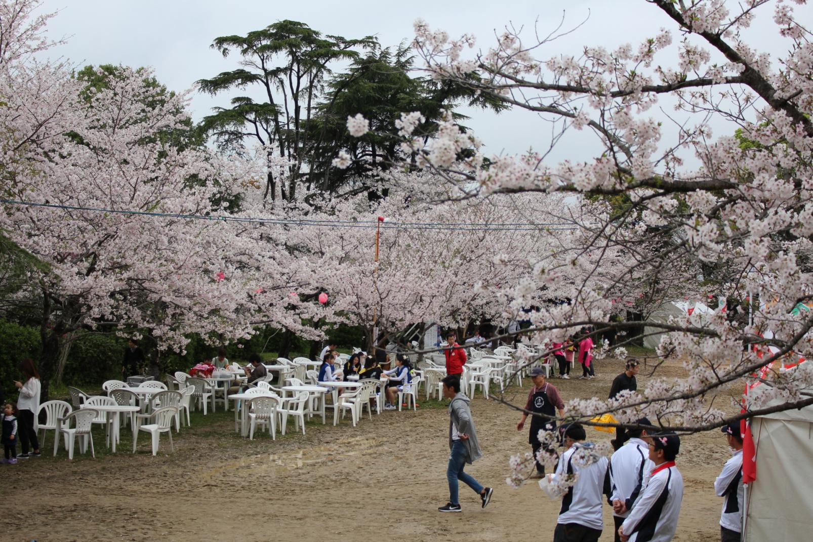 延命公園-2