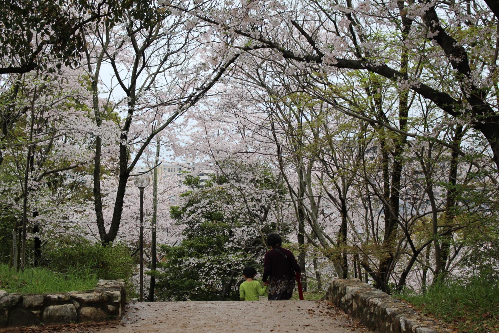 延命公園-1