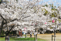 延命公園