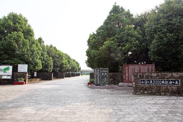 水沼の里 2000年記念の森-3