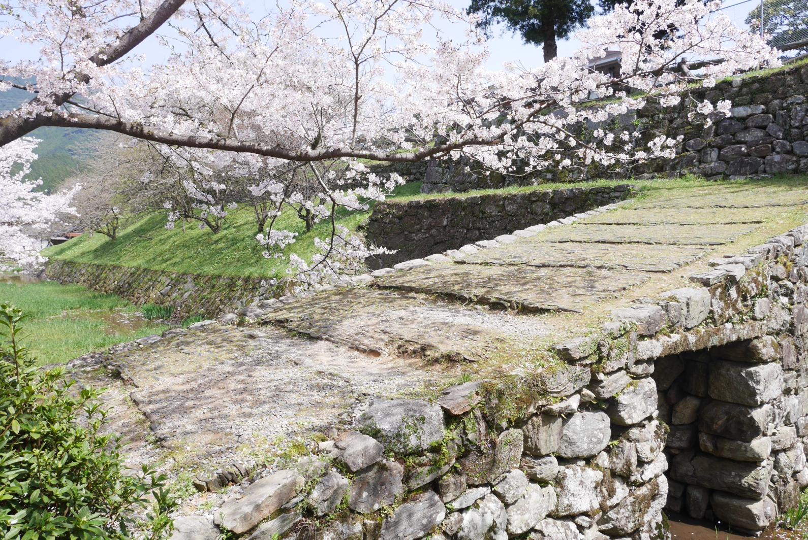 Akizuki Castle Ruins-9