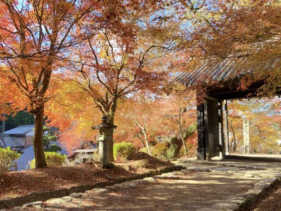 秋月城跡-2