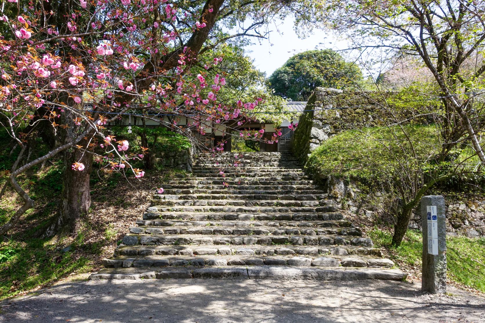 Akizuki Castle Ruins-8