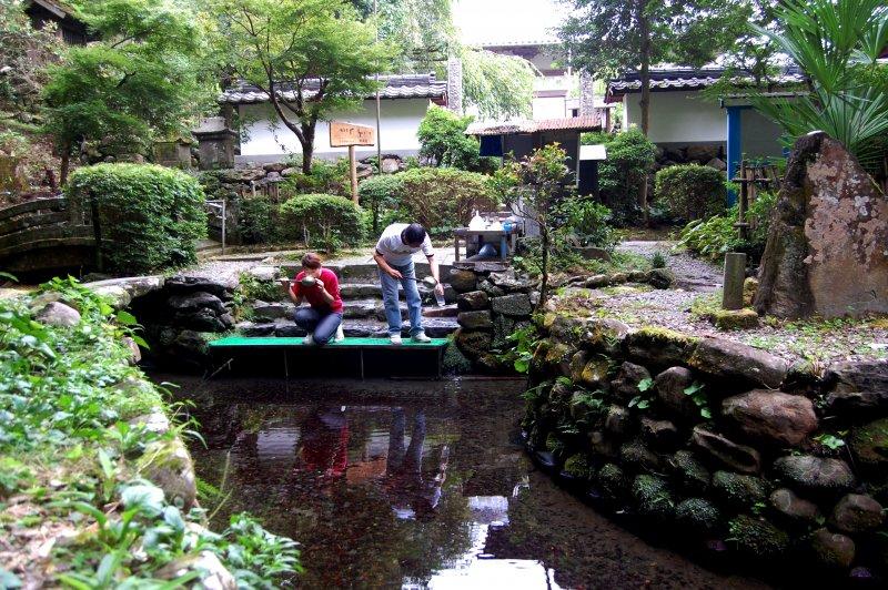 清水寺の清水湧水-0