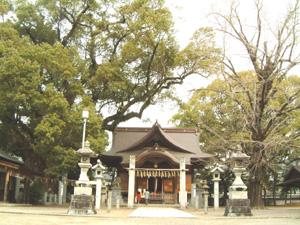 安長寺の大樟