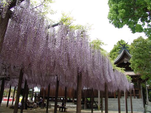 【上高場大神宮】藤の里公園-5