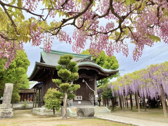 【上高場大神宮】藤の里公園-0