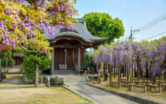 【上高場大神宮】藤の里公園-1