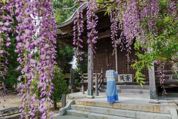 【上高場大神宮】藤の里公園-9
