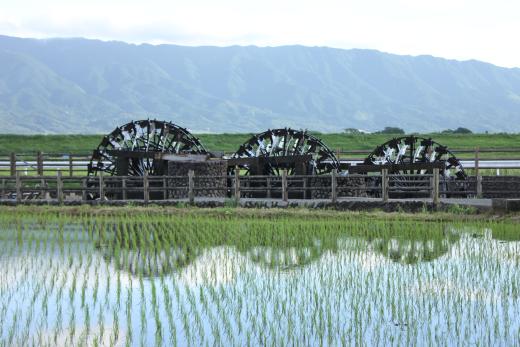 三輪水輪機-1