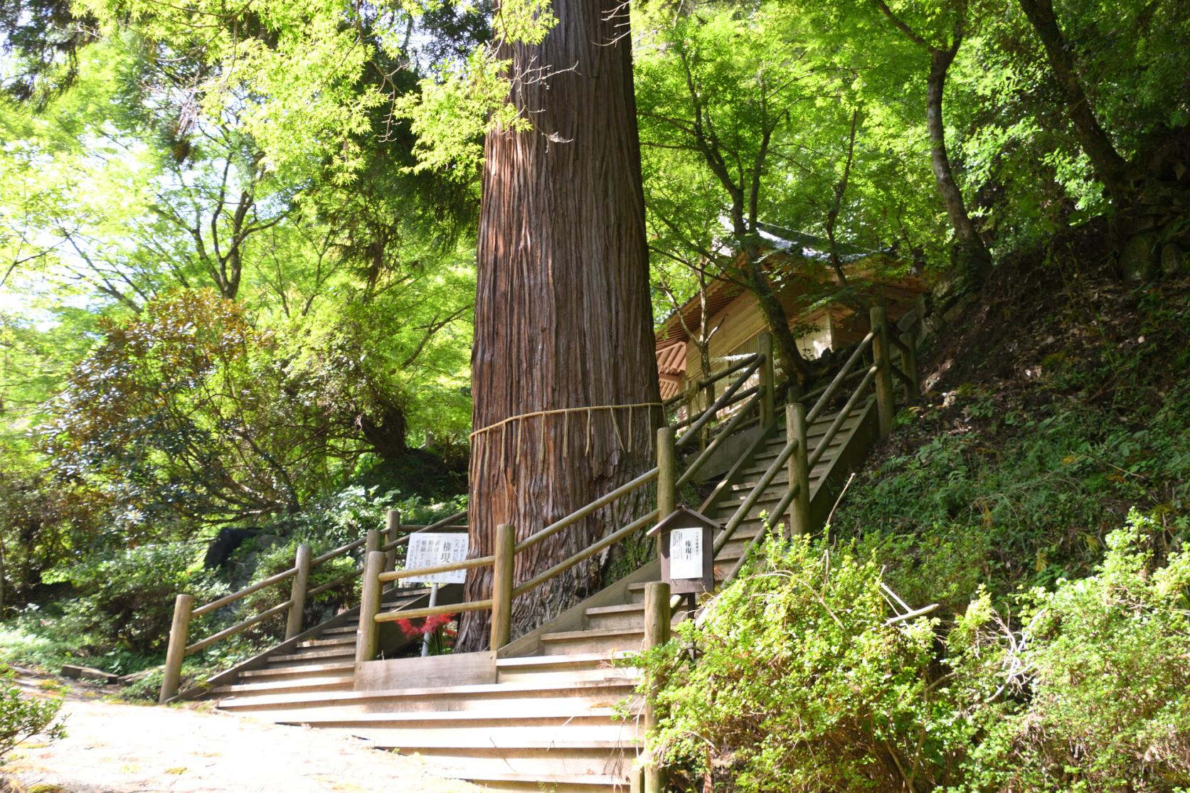 八女津媛神社-5