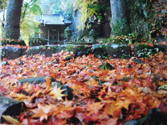 八女津媛神社-2