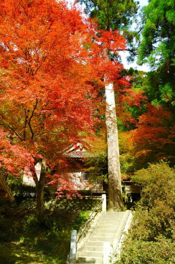 Yametsuhime Shrine-1