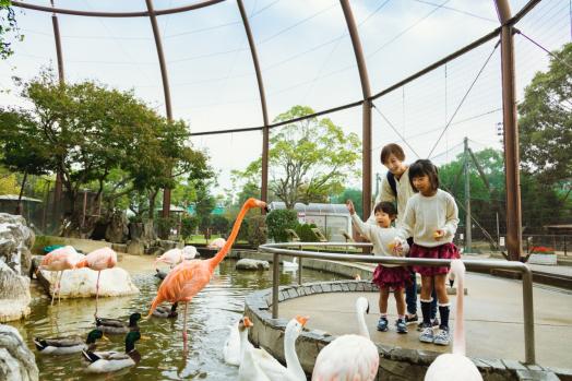 Kurume Bird Center-2