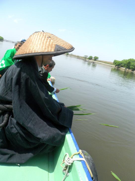 Japanese Grenadier Anchovy Fishing-3