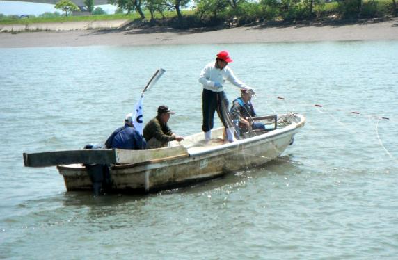 Japanese Grenadier Anchovy Fishing-0