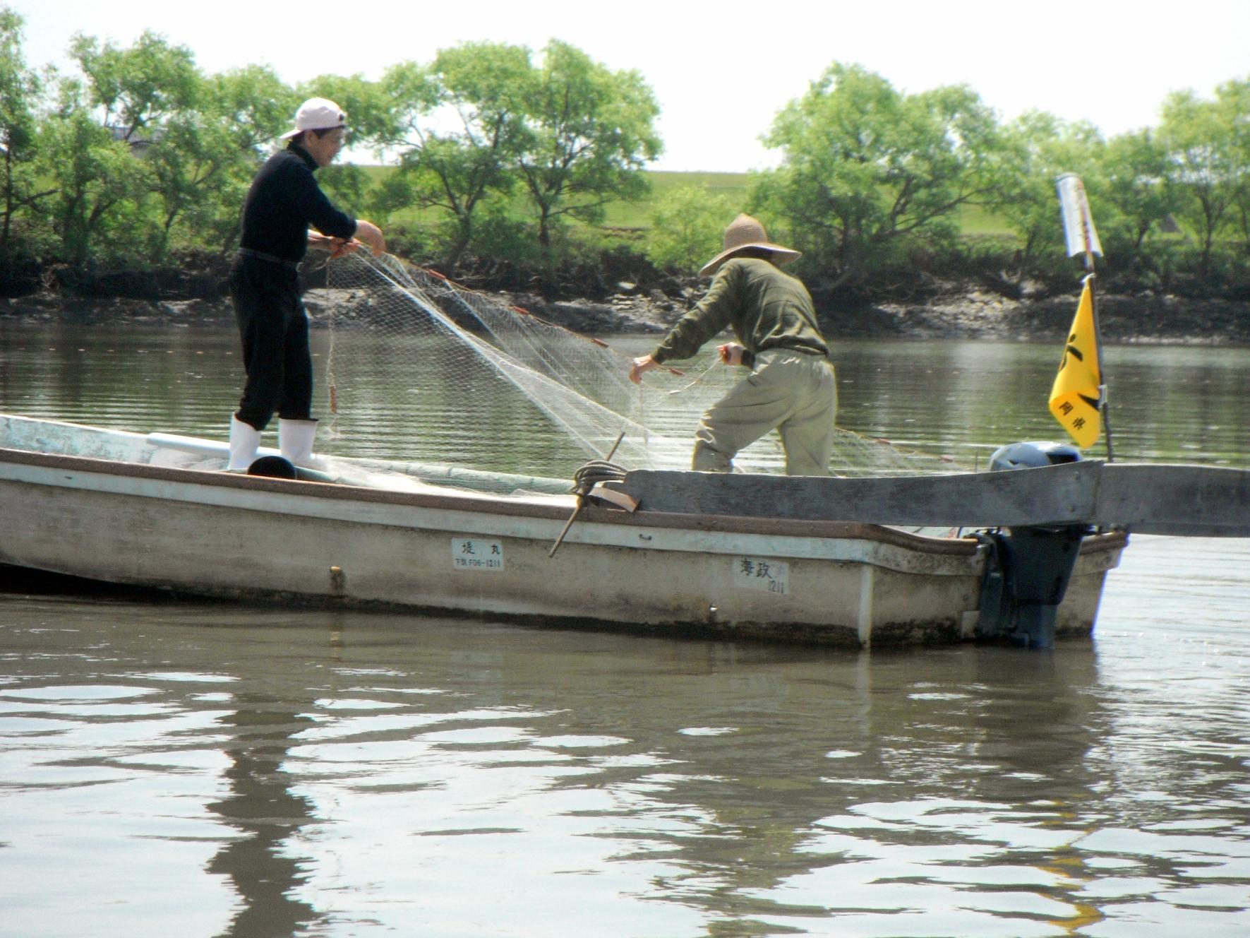 Japanese Grenadier Anchovy Fishing-1