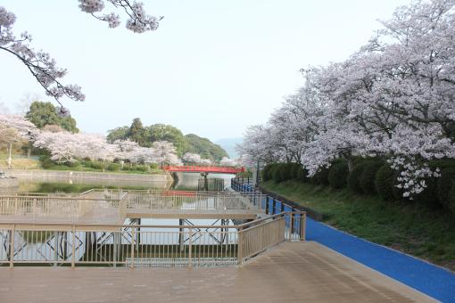 甘木公園-6