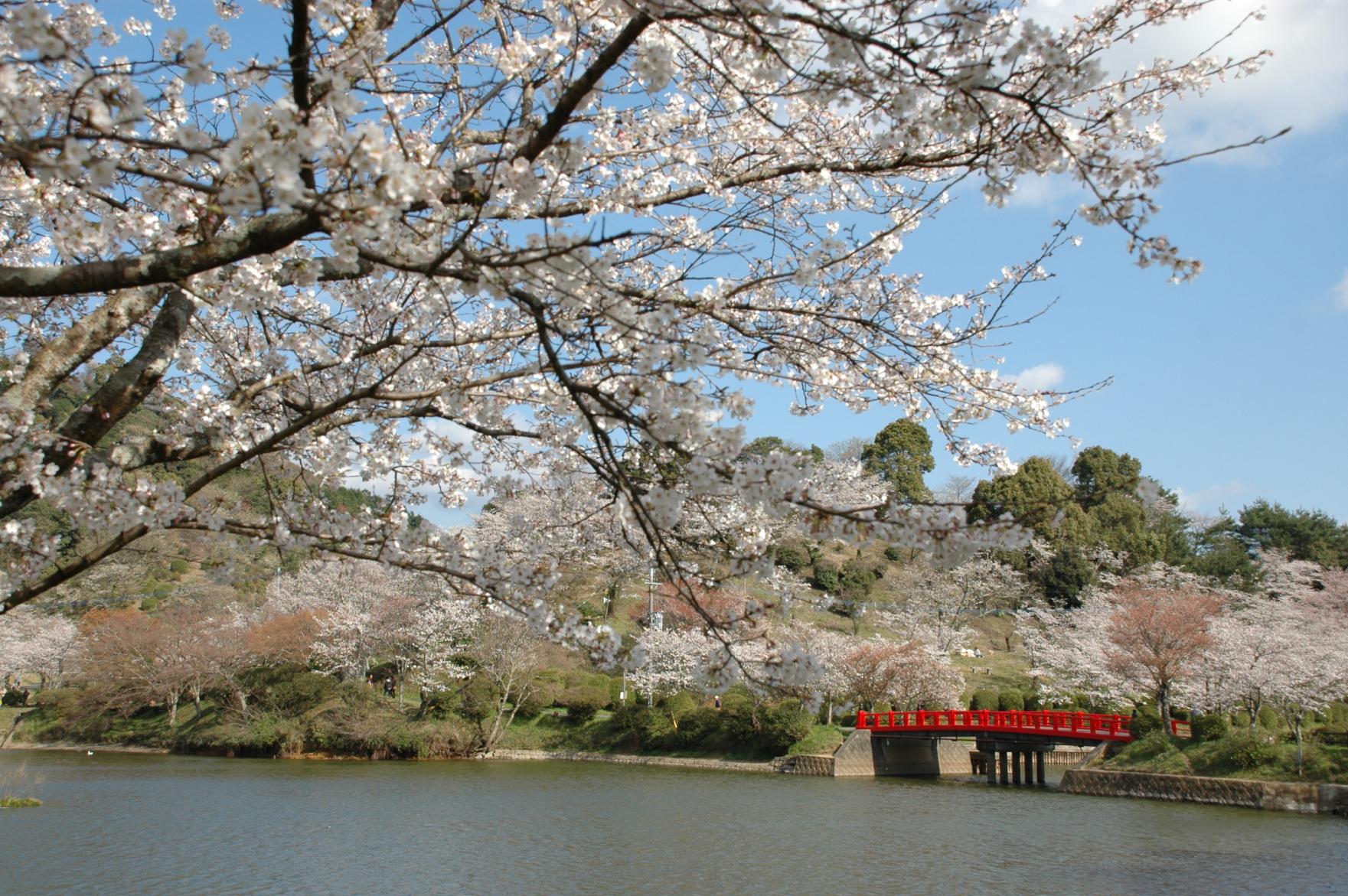 甘木公園-3
