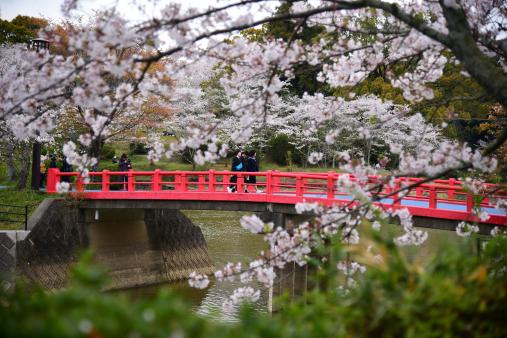 甘木公園-2