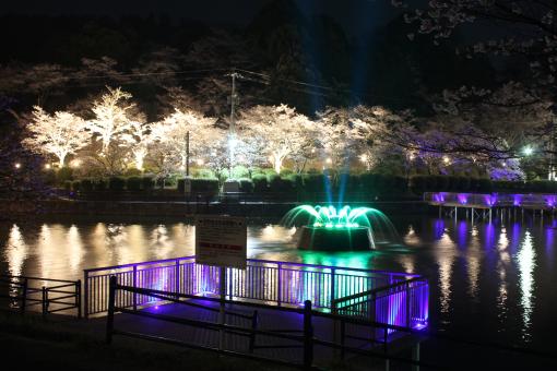 甘木公園-8
