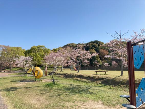 甘木公園-4