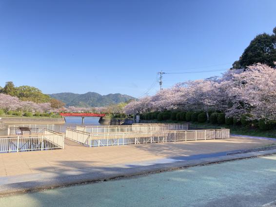 甘木公園-5