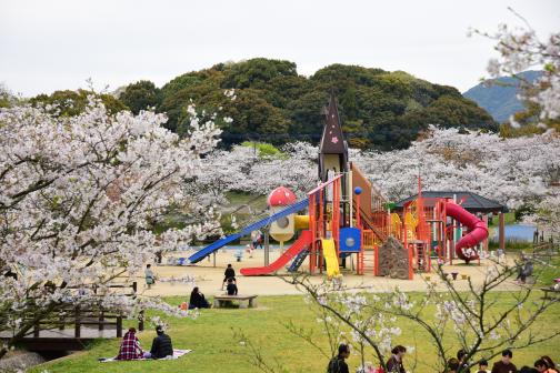 甘木公園-0