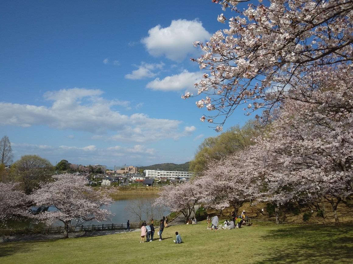 浦山公園-2