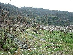 嘉穂の里フルーツ共和国　九州りんご村-1