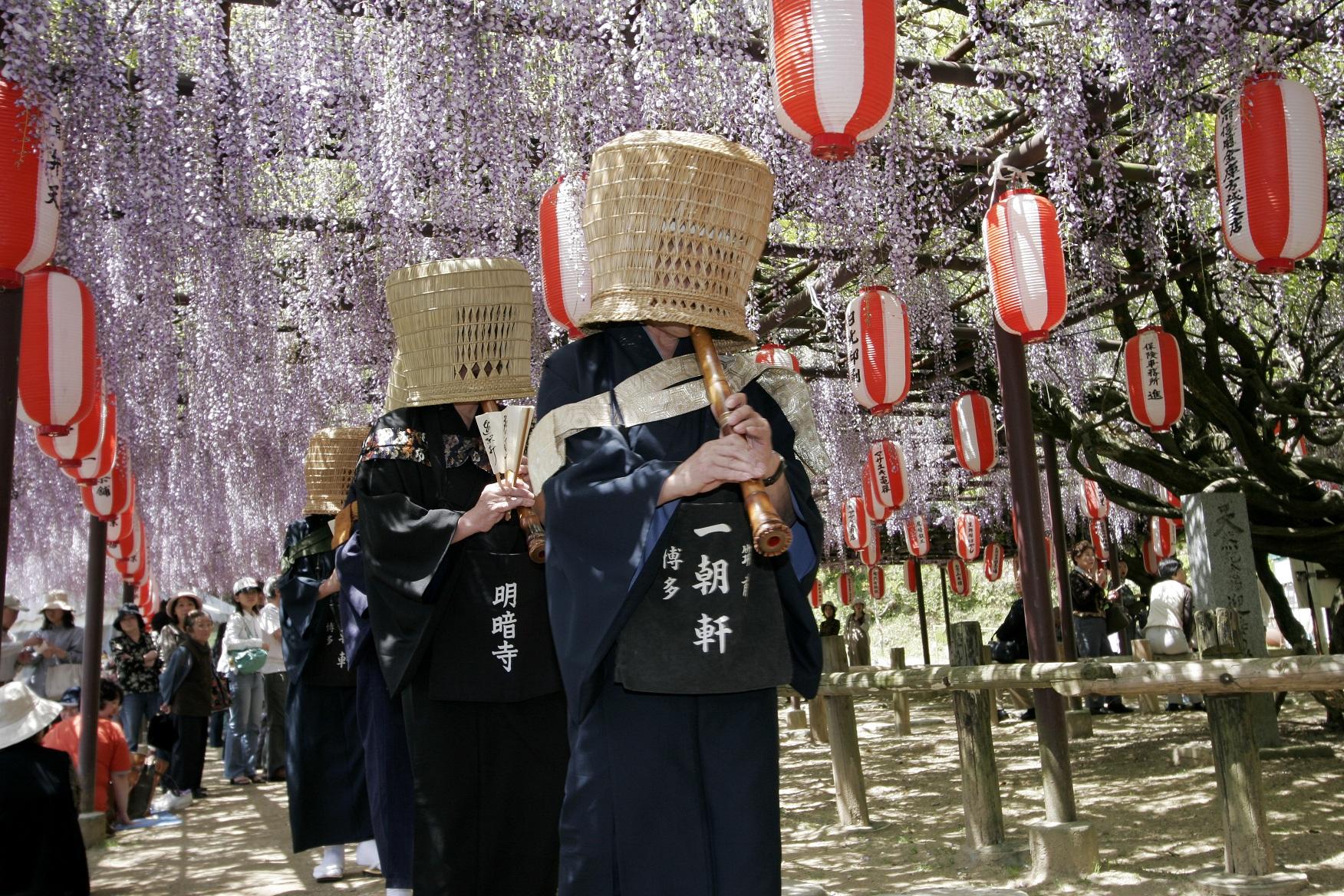 定禅寺の藤まつり-1